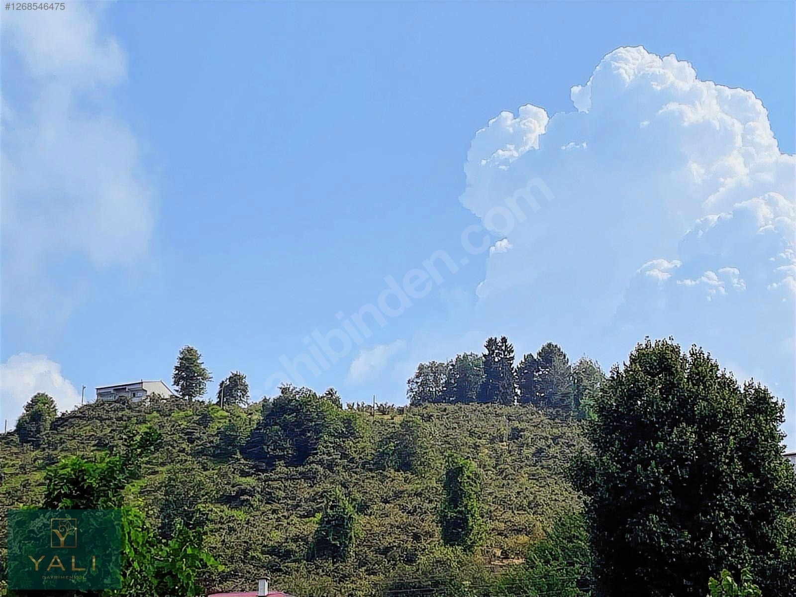 GİRESUN MERKEZ YALIKÖY MEVKİİ SATILIK ARAZİ - GİRESUN MERKEZ fotoğraf 9